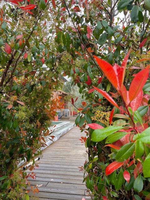 보코냐노 Casa Santa Lucia B&B 외부 사진